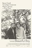 Güzel Oğlum / Beautiful Boy izle