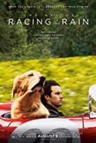 Enzo: Yağmurda Yarış Sanatı türkçe dublaj HD İZLE