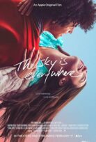 The Sky Is Everywhere alt yazılı izle